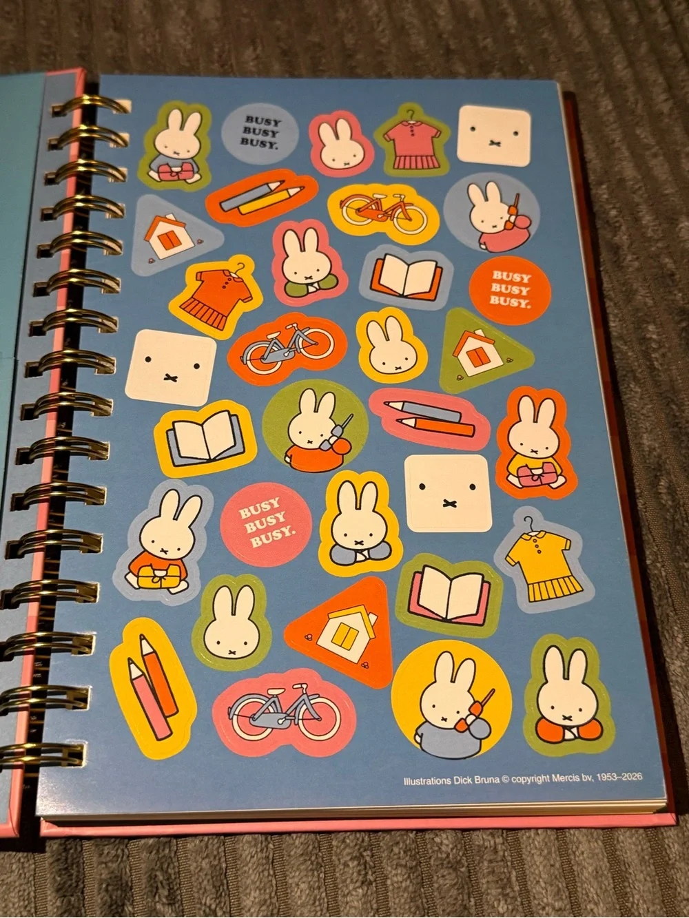 miffy Coral Striped Notebook & Pen Set with Blue Outfit